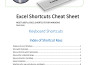 do professional excel data formatting, cleaning, and organization